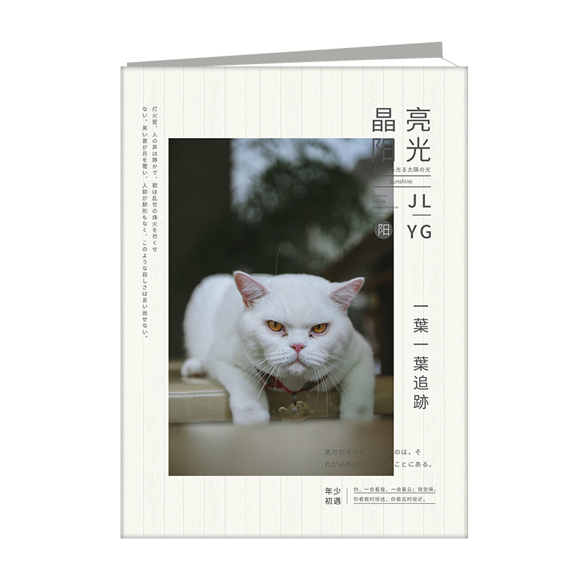 晶亮陽(yáng)光